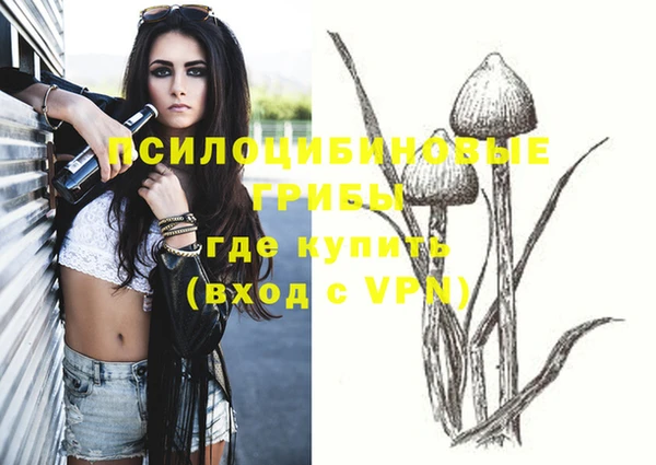 эйфоретик Баксан