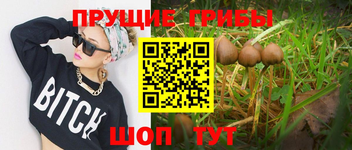 Печора  даркнет сайт  Вход с VPN  Псилоцибиновые грибы GOLDEN TEACHER 